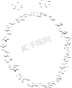 变音符号 O 中的鸟类形成