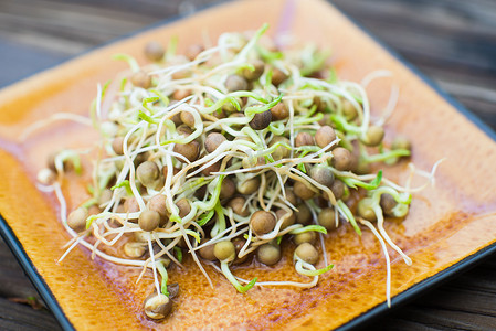 盘子里新鲜种植的豌豆芽
