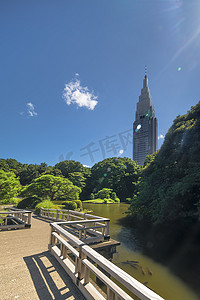 俯瞰池塘摄影照片_俯瞰上池塘的新宿塔楼