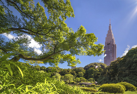 俯瞰池塘的新宿塔楼