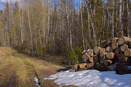 圆锯摄影照片_林道附近雪地上的圆锯木柴。