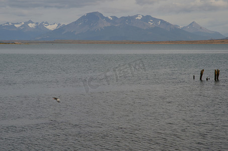 背景是 Ultima Esperanza 湾和 Sarmiento 山脉。