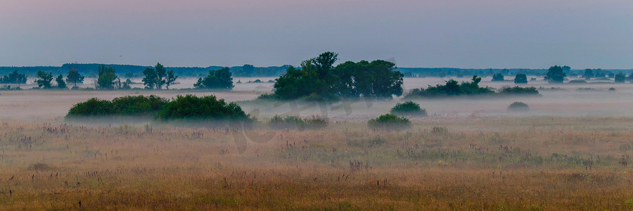 大牧场摄影照片_晨雾中森林附近有灌木丛的大牧场