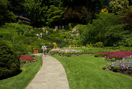 不列颠哥伦比亚省维多利亚的布查特花园