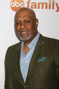 , James Pickens Jr 在 ABC TCA 2015 年夏季新闻巡演派对上，贝弗利希尔顿酒店，比佛利山庄，加利福尼亚州 08-04-15/ImageCollect