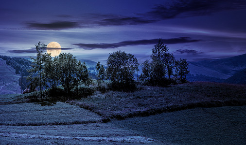 黑夜风景摄影照片_夜间草地上的小果园