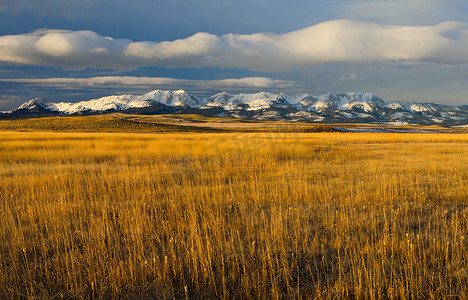 美国蒙大拿州帕克县晨光中的草原草、布里杰山脉和云彩