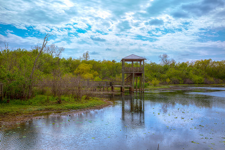 德克萨斯州 sugarland 库里南公园的白湖