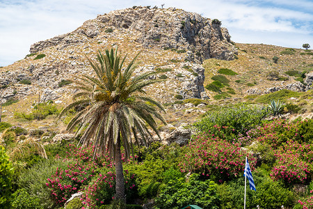 卡地亚手提袋摄影照片_在希腊罗得岛的卡利地亚斯普林斯，前景是棕榈树，背景是岩石