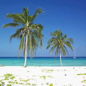 玛丽亚拉戈达海滩，比那尔德里奥省，古巴
