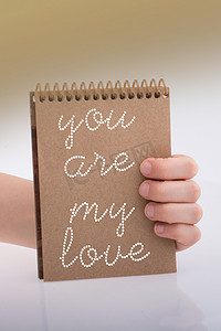 你是我手拿笔记本上的爱情文字作为爱情概念