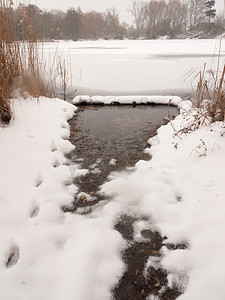 结冰的湖面冬天雪树芦苇水