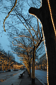 德国柏林市中心街头的节日灯光