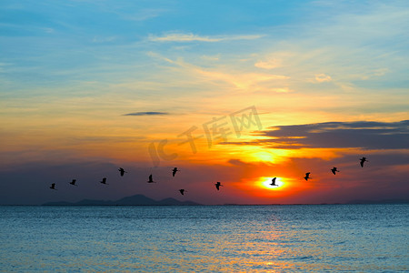 海面上的夕阳和海面上飞回家的剪影鸟