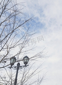 街灯和树木，背景是天上的云