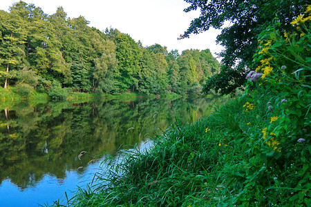 这条河在平静的水面上倒映着树冠和蓝天