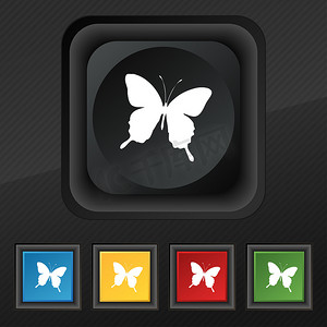 欧式蝴蝶花边摄影照片_蝴蝶图标符号。