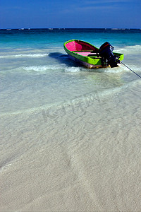 墨西哥卡门海滩的海草