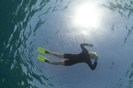 海底鱼背景摄影照片_浮潜者在红海中发现鱼。