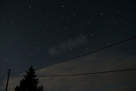 星座剪影摄影照片_满是剪影树和电源线的夜空