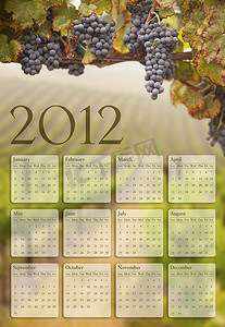 2012 日历与葡萄园背景