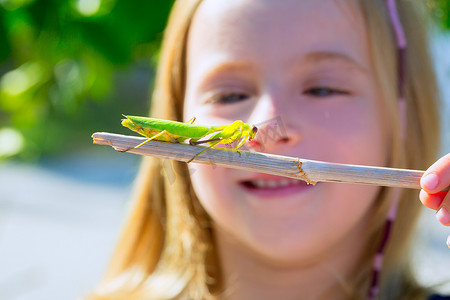 博物学家生物学家小女孩看着螳螂