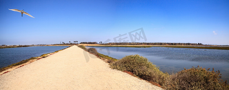 沿着 Bolsa Chica wetlan 宁静祥和的沼泽小径