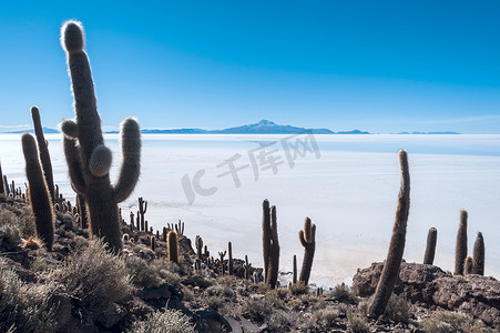 乌尤尼盐湖摄影照片_Pescadores 岛，乌尤尼盐湖在玻利维亚