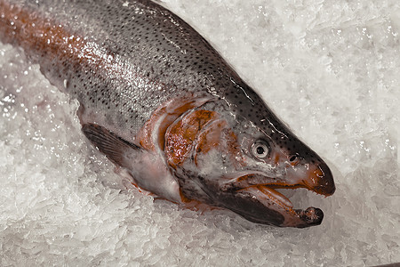 海鲜超市摄影照片_超市冰上的雄性粉红鲑鱼。