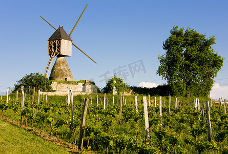 罗蒙摄影照片_“风车和葡萄园靠近蒙索罗，卢瓦尔河谷，法国”