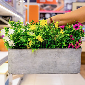 植物盆景摄影照片_把人造花植物放在花盆里
