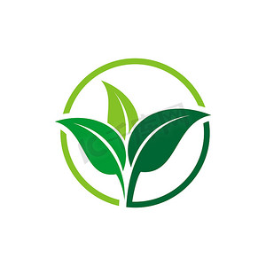绿叶生态标志模板插图设计。