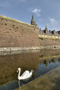天鹅在哈姆雷特的克伦堡城堡