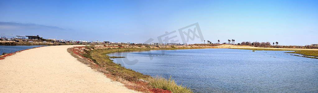 沿着 Bolsa Chica wetlan 宁静祥和的沼泽小径