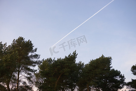 环境图像显示飞机在树上的排气尾迹。