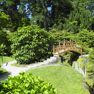 克洛斯摄影照片_日本花园，鲍尔斯考特花园，威克洛郡，爱尔兰