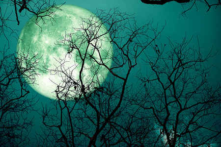 夜空中的超级鲟鱼绿月和剪影树