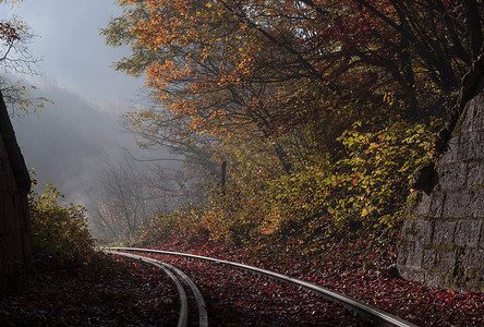 秋天的落叶躺在铁轨上，秋天的颜色