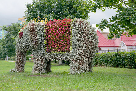 大象形花坛