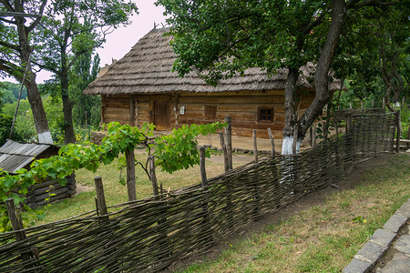 一座古老的木屋，有茅草屋顶，院子里的树从藤蔓后面的篱笆里长出来。