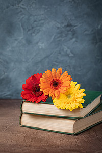 旧书上的彩色非洲菊，9 月 1 日概念明信片，教师节，返校
