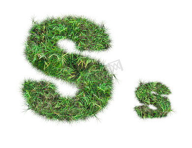 孤立的绿色草地上的字母 S