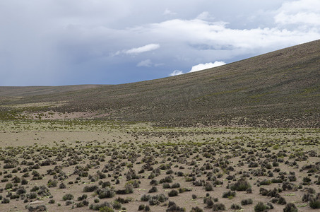 阿里塔摄影照片_劳卡国家公园的高原和山丘。