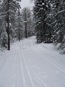 雪覆盖的斯堪的纳维亚生活方式道路和森林