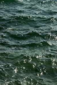 大西洋碧绿的海浪波光粼粼