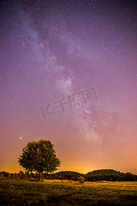 夜晚和星星景观：夜晚清澈的银河，孤独的田野和树木