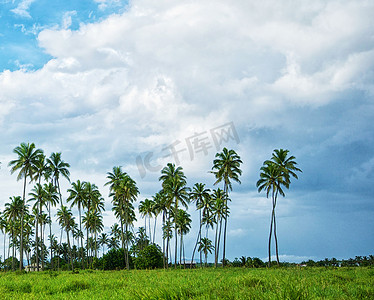 斐济美丽的图片
