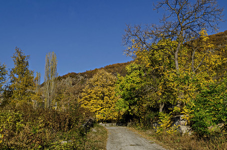 美丽的秋天景色，包括林间空地、山丘、落叶树和道路，靠近漂亮的 Zhrebichko 村、Bratsigovo 市、Rhodope 山脉