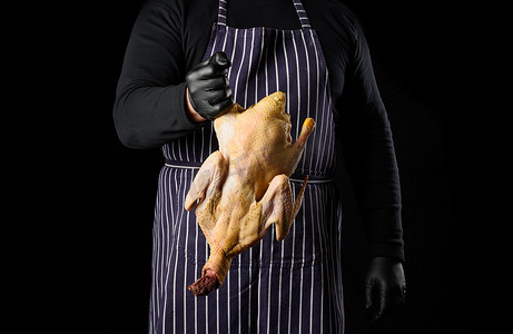 穿着蓝色条纹围裙和黑色衣服的男厨师站在黑色背景上，手里拿着一只鸭子做饭