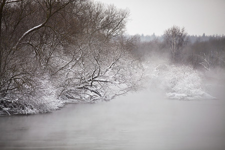 大雾摄影照片_雪和霜在河上的树上。